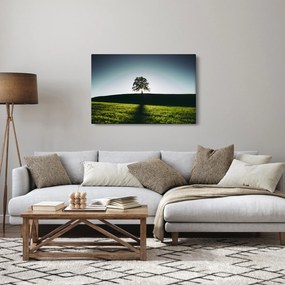 Természet kép - fa (90x60 cm)