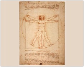Poszterek 50x40 Vitruvius ember