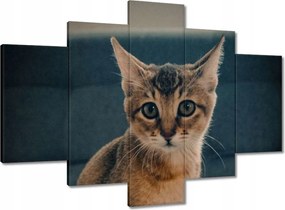 Képek 150x105 Cica Cicák