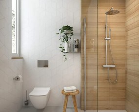 Anemon PN WC