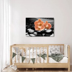 Kép - Narancssárga orchideák (90x60 cm)
