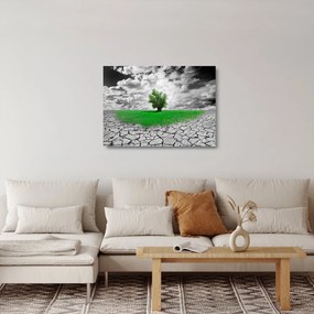 Kép - egy darab természet a városban (üvegen) (70x50 cm)