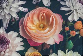 Fotótapéta Flizelin Fali Ragasztó Szett Virágos harmónia 104x70 Ragasztó