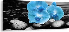 Kép - Kék orchidea (120x50 cm)
