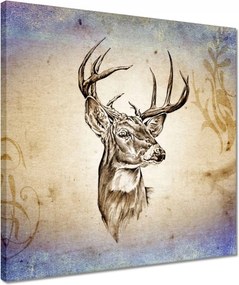Vászonkép 40x40 Szarvasfej
