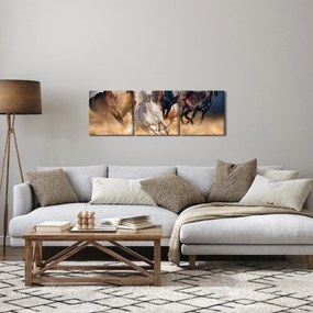 Kép - lovak a sivatagban (órával) (90x30 cm)