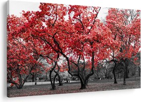 Kép - vörös fák, Central Park, New York (90x60 cm)