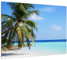 Pálmafák a strandon képe (üvegen) (70x50 cm)