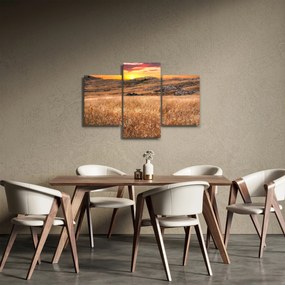 Mező képe (90x60 cm)