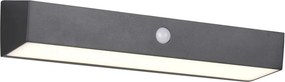 TRIO R23306102 SILVES Fali Lámpa Mozgásérzékelővel Fekete LED IP44