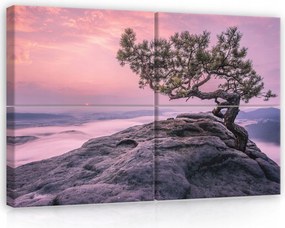 Vászonkép 120x80 moduláris táj természet hegyek szikla fa fenyő köd