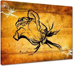 Vászonkép 50x40 Rózsa