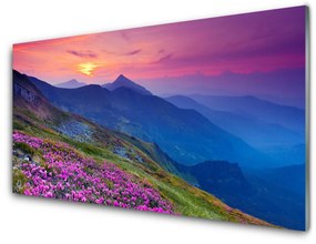 Üvegkép Mountain Meadow Virág Tájkép 120x60cm 2 fogas