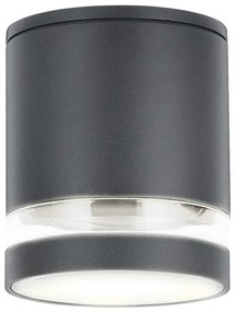 Rabalux 7817 - Kültéri spotlámpa ZOMBOR 1xGU10/35W/230V kerek IP54
