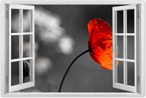 Poszter 60x40 Virágzó piros pipacs