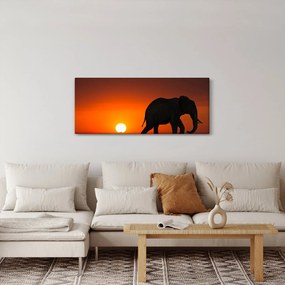 Elefánt képe naplementekor (120x50 cm)