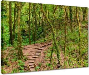 Vászonkép 40x30 Gyalogtúra