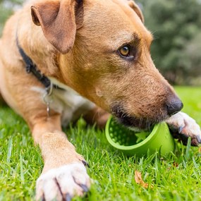 Habzsolásgátló tál Yoggie Pot Green – LickiMat