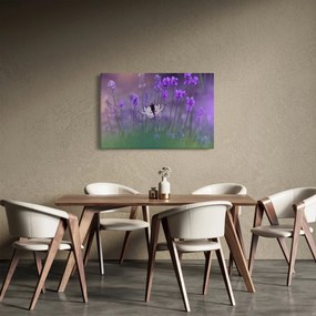 Kép - Pillangó a levendulán (90x60 cm)