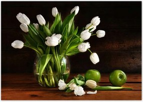 Poszterek 100x70 Fehér tulipánok Sötét háttér