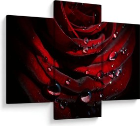 Kép - Rózsa részlete (90x60 cm)