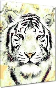 Vászonkép 60x80 Tigrisfej Csillagok