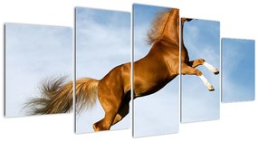 Kép - lovak, a hátsó (150x70cm)
