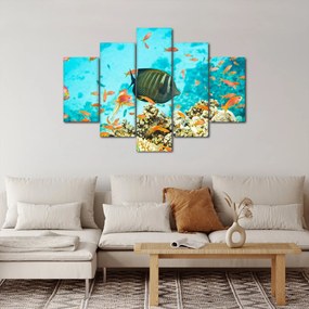 A víz alatti világ képe (150x105 cm)