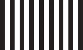 Fotótapéta Fekete fehér csíkos minimalizmus grafikai minta 350x250 +ragasztó