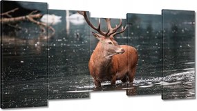 Vászonkép 150x80 Szarvas felszarvazott