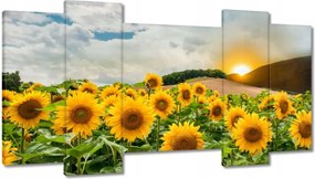 Festmények 120x65 Tájkép Napraforgók