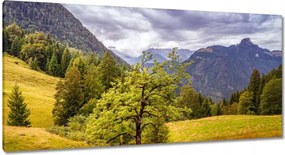 Festmények 115x55 Fa az égig