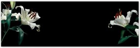 Poszterek 200x66 Gyönyörű fehér liliom
