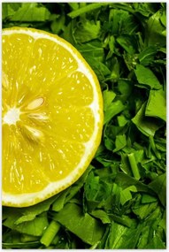 Poszterek 80x120 Citromos saláta