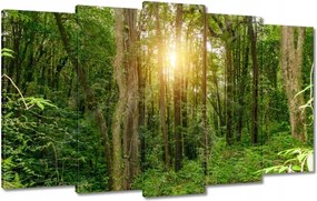 Festmények 100x60 Tájkép park