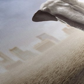 Kép - Elefánt egy nagyvárosban (120x50 cm)
