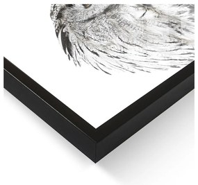 Kép 50x70 cm Owl – Styler