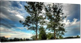 Festmények 180x90 Vidéki út