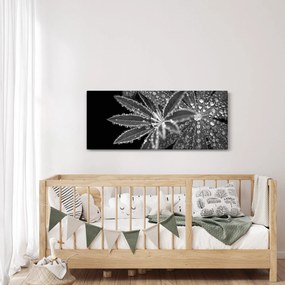 Kép - Cseppek (120x50 cm)