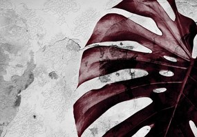 Fotótapéta levél levelek monstery 208 x 146