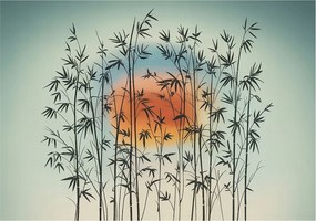 Fotótapéta Flizelina Dekoratív iroda Harmonikus nyugat 208x146 Ragasztó