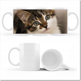 Cica fényképes bögre