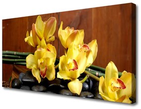 Vászonfotó Virág orchidea növény 120x60 cm