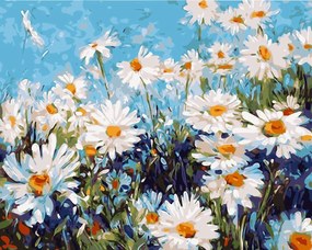 Festés számok szerint kép kerettel "Százszorszépek" 40x50 cm