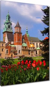 Vászonkép 80x120 Krakkó Wawel Műemlékek