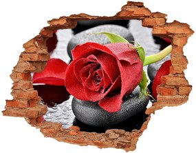 Fali matrica lyuk a falban Vörös rózsa nd-c-69893127