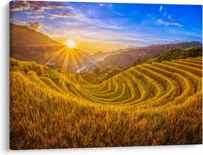 Kép - Rizs teraszok Vietnamban (70x50 cm)