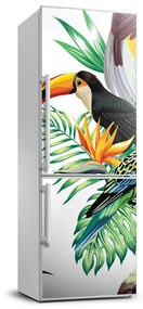Hűtőre ragasztható matrica Trópusi madarak FridgeStick-70x190-f-82973697