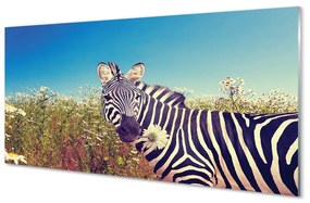 Üvegképek Zebra virágok 100x50 cm