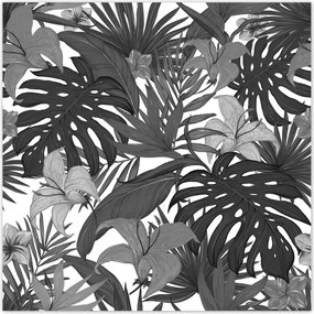 Fotótapéta 208x208 Fekete-fehér monstera